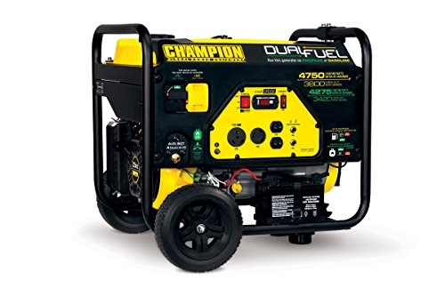 Champion 3800-Watt Dual Fuel RV Ready Portable Generator with Electric Start