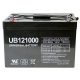 Universal UB121000-45978 12v 100AH Deep Cycle AGM Battery 12V 24V 48V